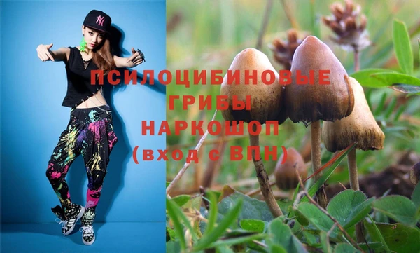 mdpv Армянск