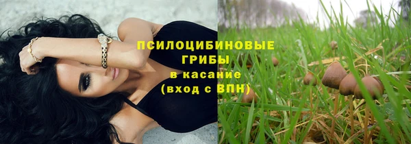 mdpv Армянск